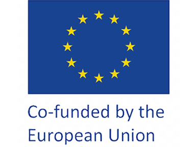 Co-funded by the European Union